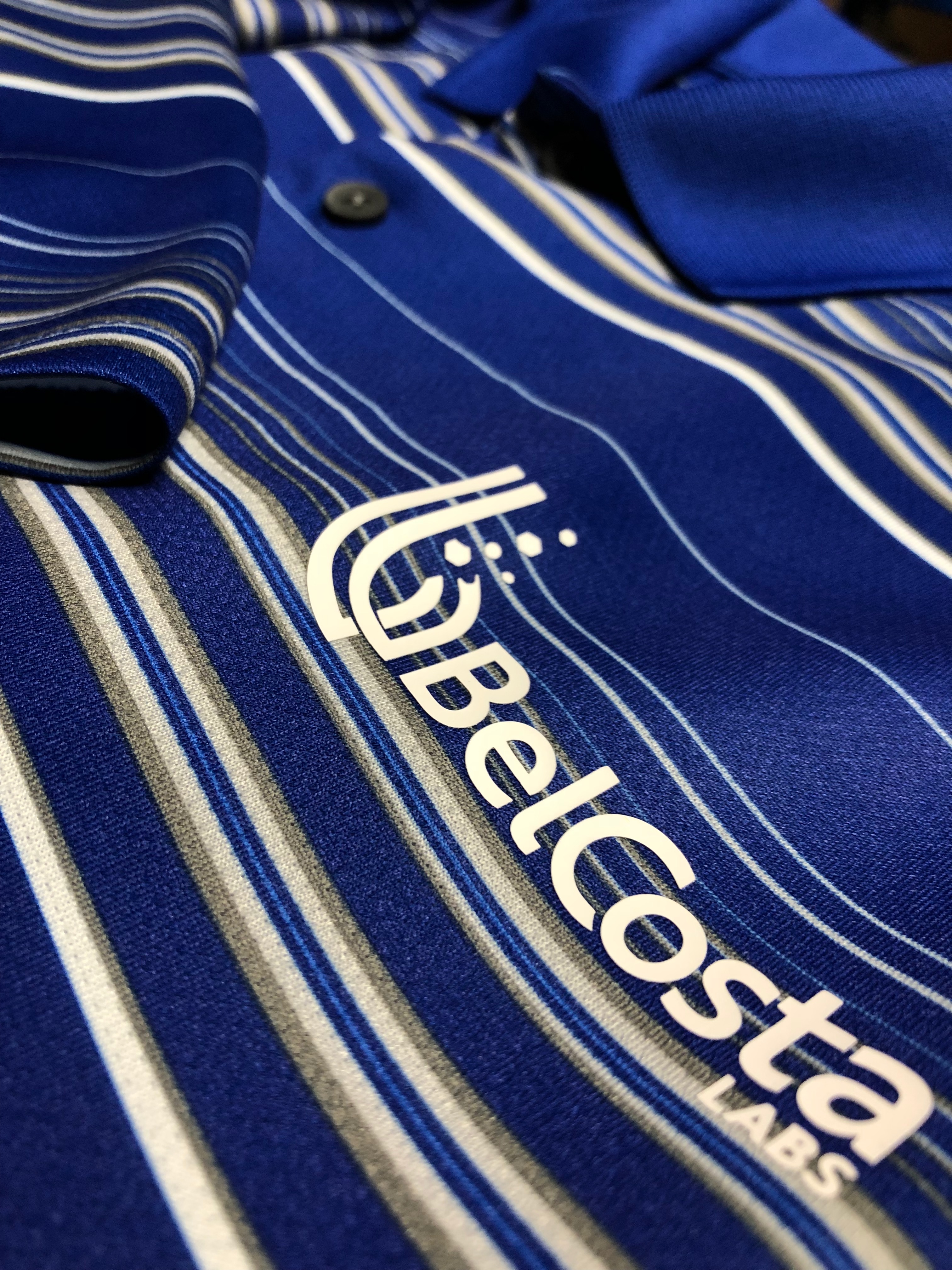 A Belcosta labs polo decked out with vinyl.